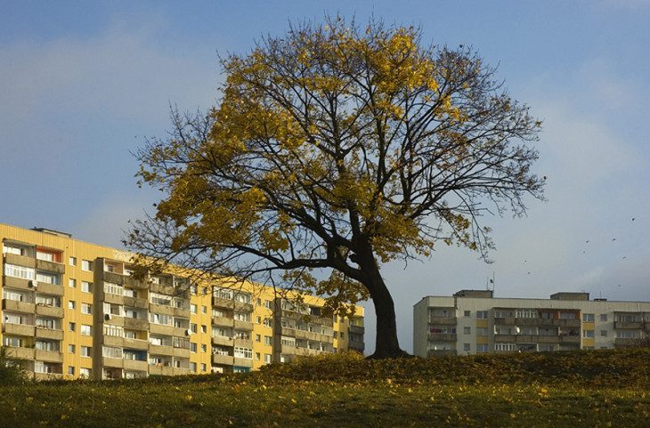 a wokół domy z betonu