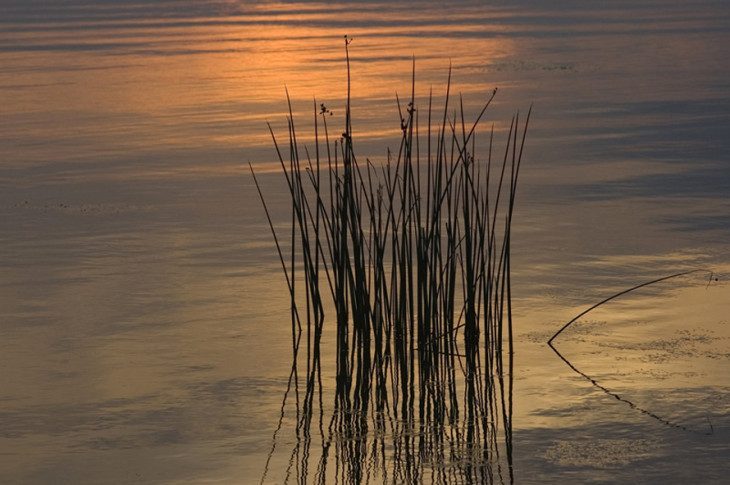 między dniem a snem