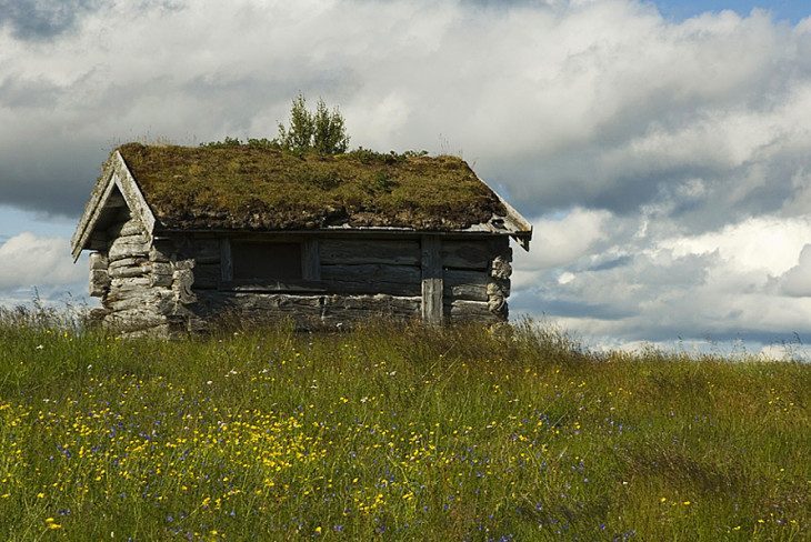 pod skandynawskim niebem