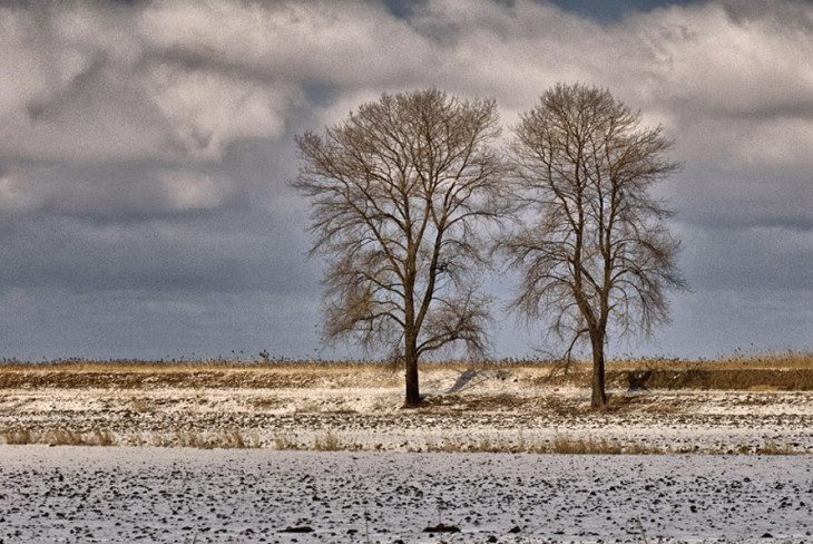 ...strażnicy...