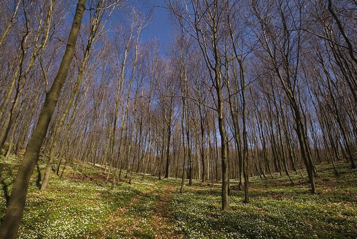 ...wiosna, panie sierżancie...